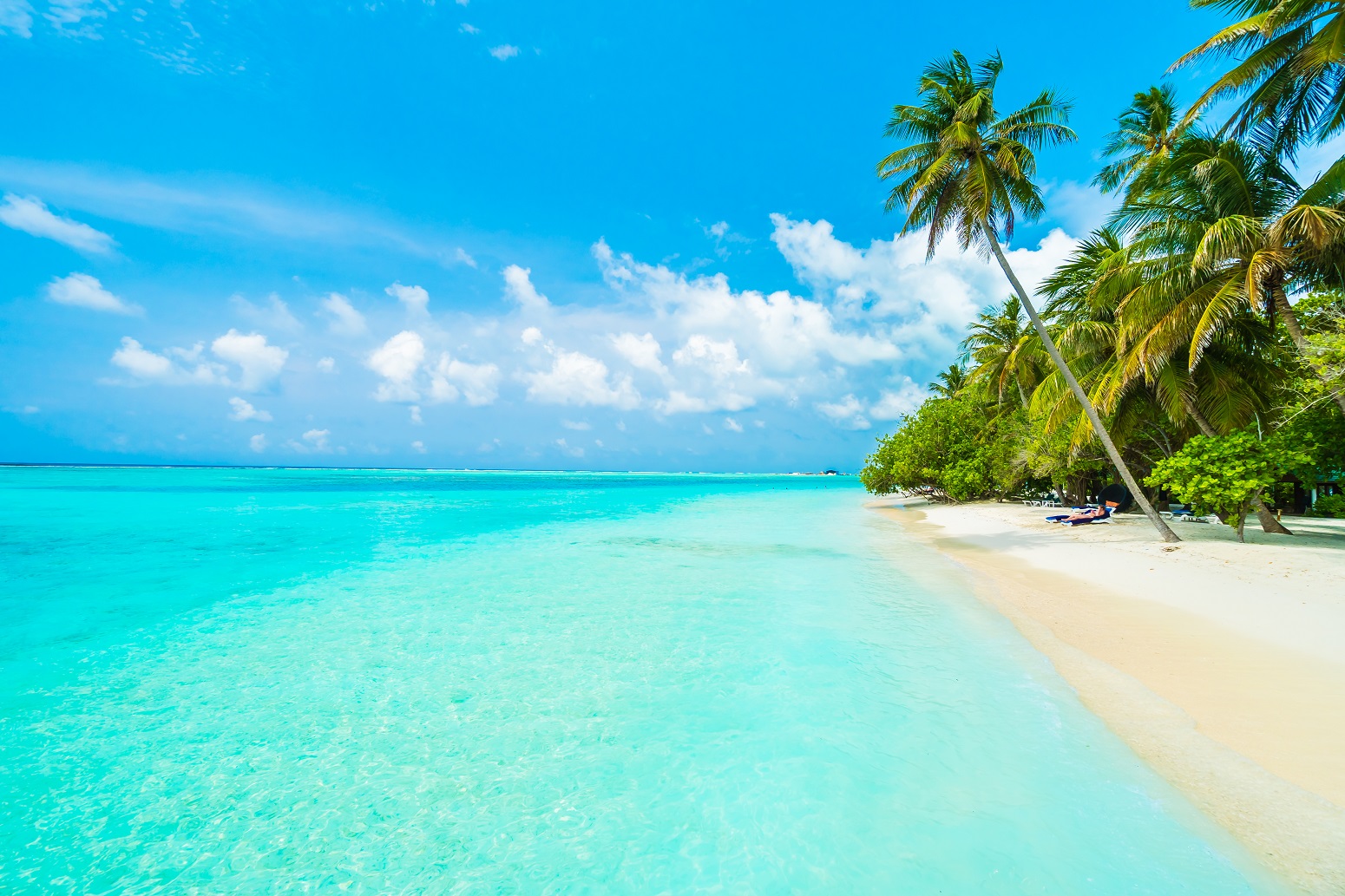 playa paradisiaca punta cana